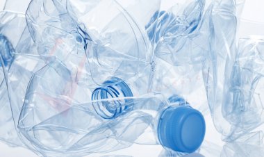 Top Companies in Transparent Plastics Market by Size, Share, Historical and Future Data & CAGR | Report by Vantage Market Research