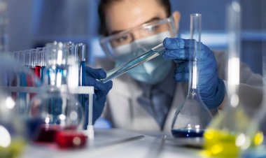 Top Companies in Protective Coatings Market by Size, Share, Historical and Future Data & CAGR | Report by Vantage Market Research