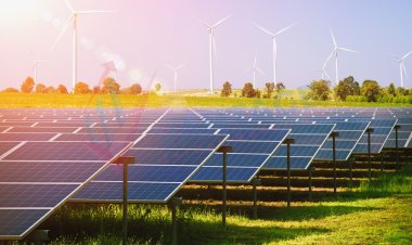 Top Companies in Solar Power Market by Size, Share, Historical and Future Data & CAGR | Report by Vantage Market Research