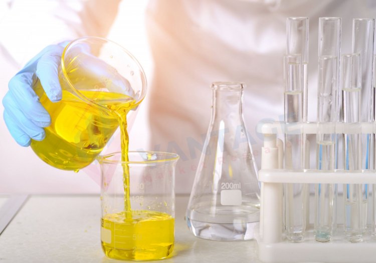 Top Companies in Oleochemicals Market by Size, Share, Historical and Future Data & CAGR | Report by Vantage Market Research
