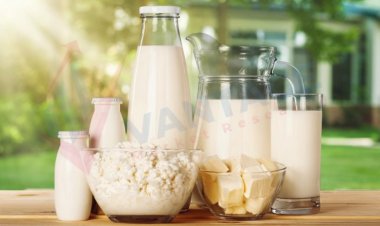 Meilleures entreprises dans Lait Calcium Marché par taille, part, données historiques et futures et CAGR | Rapport de Vantage Market Research