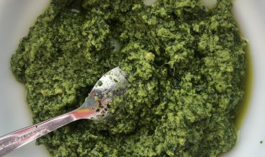 Top Companies in Algae Protein Market by Size, Share, Historical and Future Data & CAGR | Report by Vantage Market Research