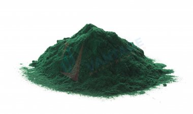 Top Companies in Spirulina Market by Size, Share, Historical and Future Data & CAGR | Report by Vantage Market Research