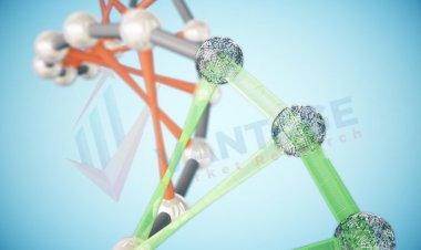 Principales entreprises du marché de la nanocellulose par taille, part, données historiques et futures et TCAC | Rapport de Vantage Market Research