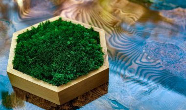 Commercial Seaweed Market Size to Reach $10.8 Billion at a CAGR of 2.1% by 2028