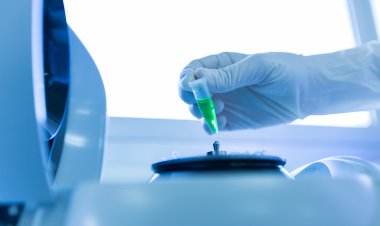 Líquido Biopsia Mercado Tamaño para alcanzar $ 10.9 mil millones a una CAGR de 17.8% para 2028