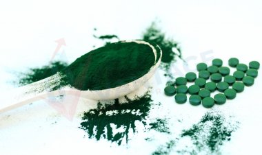 Spirulina Market Size to Reach $868.8 Million at a CAGR of 9.8% by 2028