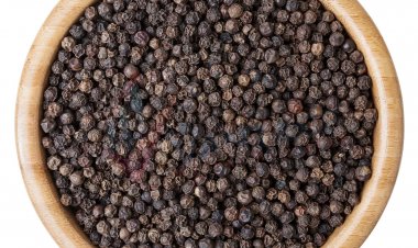 Top Companies in Pepper Market by Size, Share, Historical and Future Data & CAGR | Report by Vantage Market Research