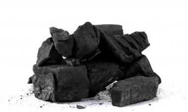 Top Companies in Petroleum Coke Market by Size, Share, Historical and Future Data & CAGR | Report by Vantage Market Research