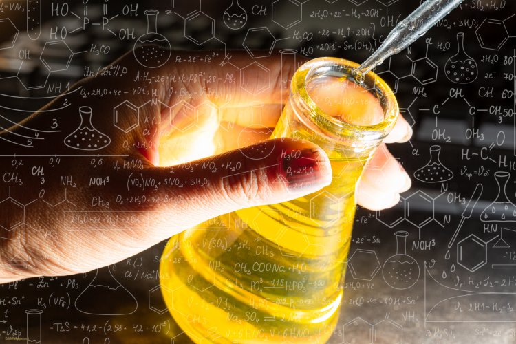 Top Companies in N-Butanol Market by Size, Share, Historical and Future Data & CAGR | Report by Vantage Market Research
