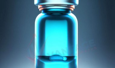 Top Companies Pharmaceutical Glass Packaging Market by Size, Share, Historical and Future Data & CAGR | Report by Vantage Market Research