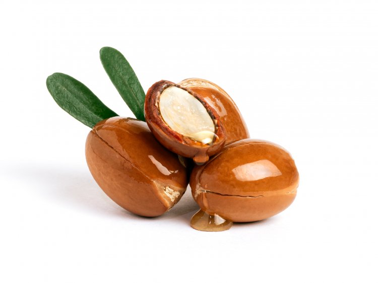 Top Companies in Argan Oil Market by Size, Share, Historical and Future Data & CAGR | Report by Vantage Market Research