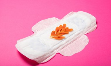 Top Companies in Biodegradable Sanitary Napkins Market by Size, Share, Historical and Future Data & CAGR | Report by Vantage Market Research