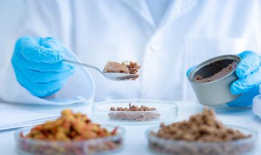 Top Companies in Veterinary Regenerative Medicine Market by Size, Share, Historical and Future Data & CAGR | Report by Vantage Market Research