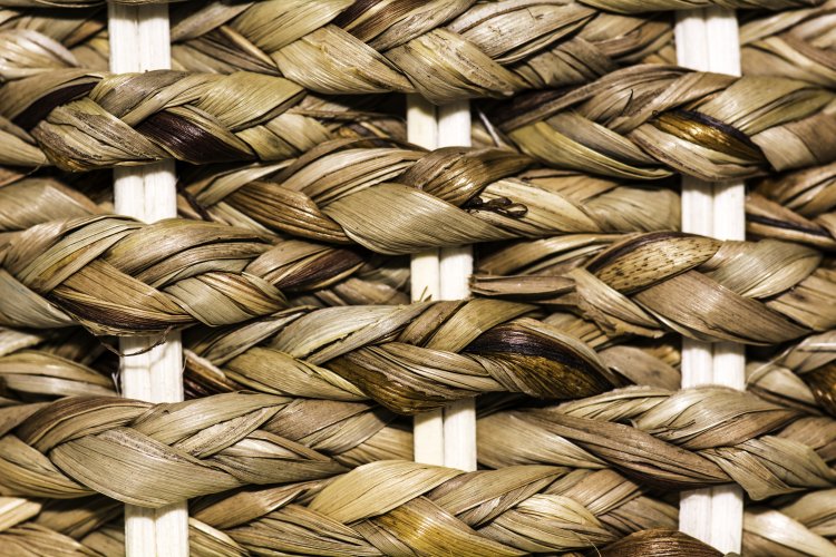 Top Companies in Abaca Fiber Market by Size, Share, Historical and Future Data & CAGR | Report by Vantage Market Research