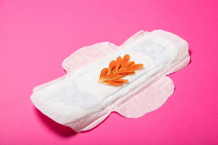 Top Companies in Biodegradable Sanitary Napkins Market by Size, Share, Historical and Future Data & CAGR | Report by Vantage Market Research