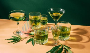 Global Cannabis-based Alcoholic Beverages Market Size to Reach $1.1 Billion at a CAGR of 13.3% by 2030
