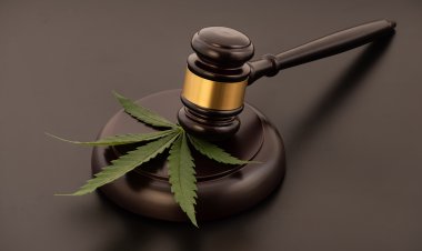 Global Legal Marijuana Market Size to Reach $103.8 Billion at a CAGR of 26.2% by 2030