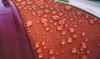 Global Superhydrophobic Coating Market Size to Reach $110 Million at a CAGR of 25.2% by 2030