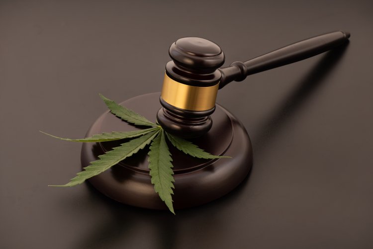 Global Legal Marijuana Market Size to Reach $103.8 Billion at a CAGR of 26.2% by 2030