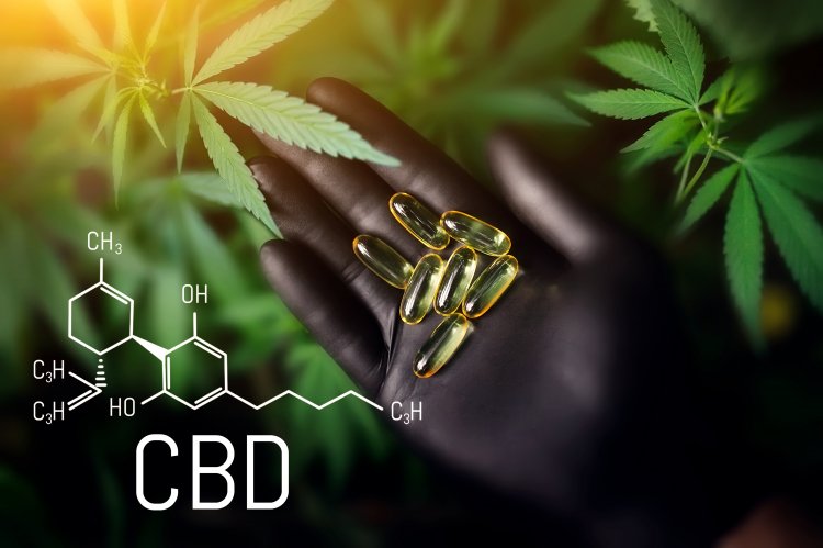 Global CBD Nutraceuticals Market Size to Reach $28.2 Billion at a CAGR of 18.9% by 2030