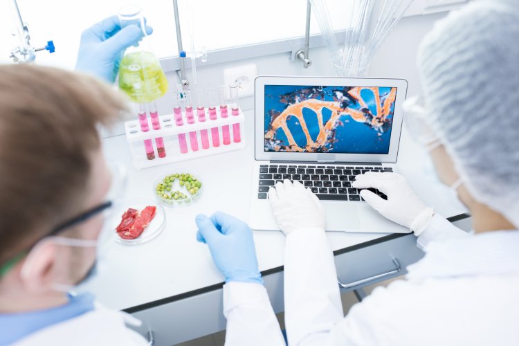Global Genomic Biomarkers Market Size to Reach $8.6 Billion at a CAGR of 12.9% by 2030