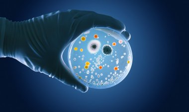 Global Stem Cell Therapy Market Size to Reach $831.9 Million at a CAGR of 17.2% by 2030