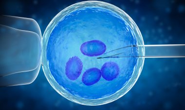 Global Cell Dissociation Market Size to Reach $1.4 Billion at a CAGR of 18.2% by 2030