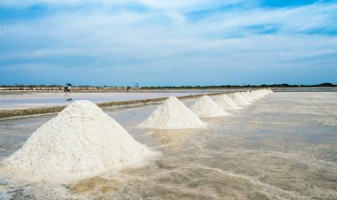 Global Polymeric Sand Market Size to Reach $170.8 Billion at a CAGR of 6.8% by 2030