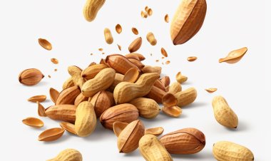 Global Peanut Allergy Treatment Market Size to Reach $1278.3 Million at a CAGR of 11.6% by 2032