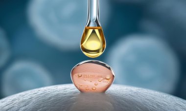 Global Salicylic Acid Market Size to Reach $932.86 Million at a CAGR of 7.07% by 2032