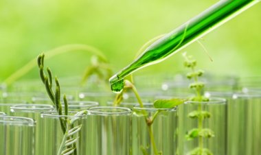 La taille du marché mondial des biosurfactants atteindra 6,9 milliards de dollars avec un TCAC de 5,4 % d’ici 2032