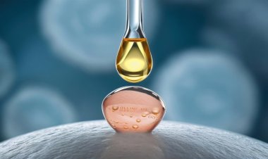 La taille du marché mondial de l’acide salicylique atteindra 932,86 millions de dollars avec un TCAC de 7,07 % d’ici 2032