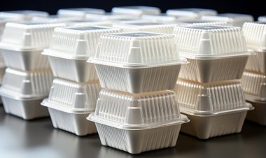 El tamaño del mercado mundial de envases de pulpa moldeada alcanzará los $ 9.06 mil millones a una CAGR del 5.25% para 2032