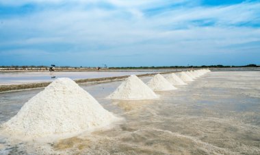 El tamaño del mercado mundial de arena polimérica alcanzará los 170.800 millones de dólares a una tasa compuesta anual del 6,8 % en 2030