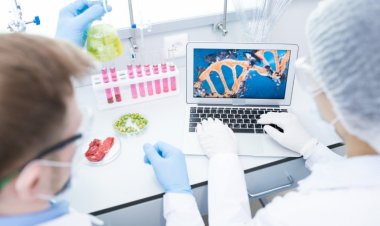 El tamaño del mercado mundial de biomarcadores genómicos alcanzará los 8.600 millones de dólares a una tasa de crecimiento anual compuesta (CAGR) del 12,9 % en 2030