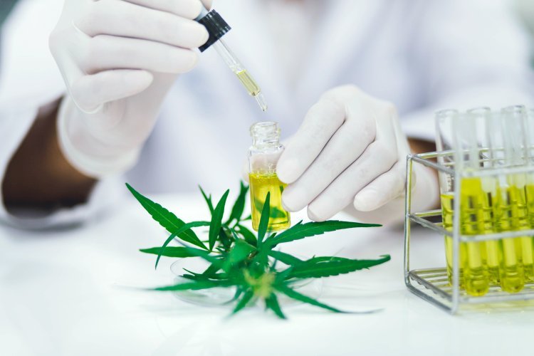 El tamaño del mercado mundial de cannabinoides sintéticos alcanzará los 6.700 millones de dólares con una tasa de crecimiento anual compuesta (CAGR) del 21,9 % en 2030