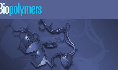 Biopolymer Coatings Market Types and Applications, Drivers, Ongoing Trends, Future Demand, Challenges, Top Companies & Forecast 2024-2032