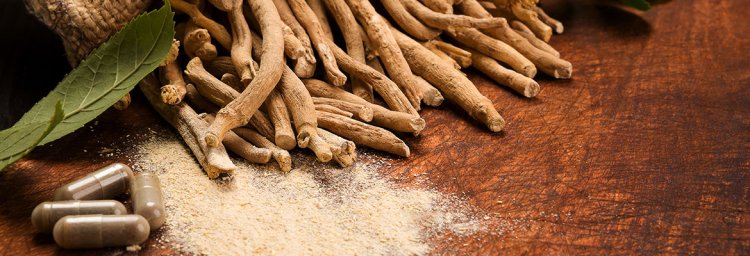 Ashwagandha Extracts Market Outlook by Application: Size and Growth Trends till 2032