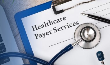 Healthcare Payer Services Market Size Insights and Future Growth Trends: 2024-2032