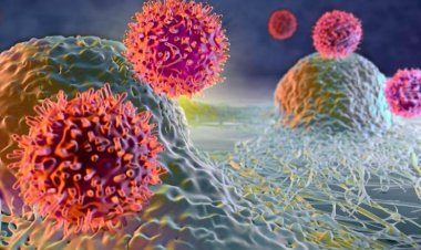 Immuno Oncology Assays Market Size, Analytical Overview, Growth Factors, Demand and Trends Forecast to 2032