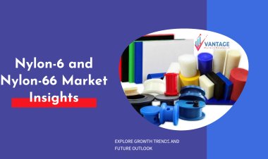 Tendencias del mercado mundial de nailon-6 y nailon-66: aplicaciones que impulsarán el crecimiento hasta 2034