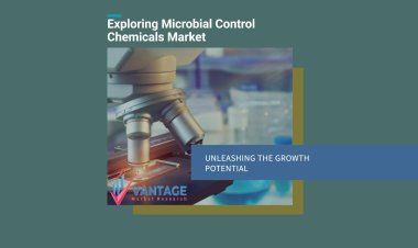 Explorando el potencial de crecimiento del mercado de productos químicos para el control microbiano