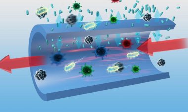Antiviral Antimicrobial Coatings Market 2024 - By Industry Demand, Leading Players, Regional Overview and Forecast To 2032- Axalta Coating Systems (US), The Sherwin-Williams Company (US), Nippon Paint Holdings (Japan), PPG Industries (US)