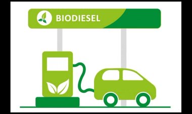 Biodiesel Market Trends in Market Growth: Size, Demand, and Key Players Analysis for 2032| Archer Daniels Midland Company (U.S.), Wilmar International Limited (Malaysia), Bunge Limited (U.S.), Neste Corporation (Finland)