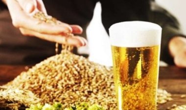 Brewing Enzymes Market Types and Applications, Drivers, Ongoing Trends, Future Demand, Challenges, Top Companies & Forecast 2024-2032 | DSM (U.S),DuPont (U.S),Novozymes A/S (Denmark),BASF SE (Germany)