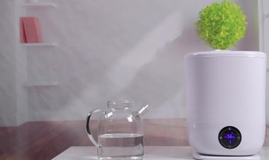 Digital Humidifier Market 2024 - By Industry Demand, Leading Players, Regional Overview and Forecast To 2032- BONECO, Ivation, TaoTronics, Bionaire