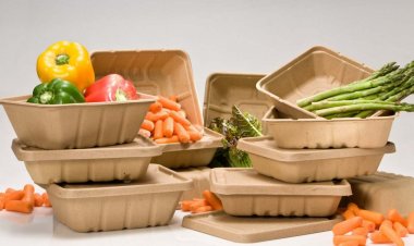 Food Service Market Size Insights and Future Growth Trends: 2024-2032 Forecast- McDonald's (Illinois - United States), Starbucks (Washington - U.S.), Marriott International (Maryland - U.S.), Subway (Connecticut - U.S.)