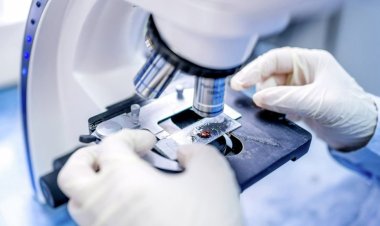 Tissue Diagnostic Market Size Insights and Future Growth Trends: 2024-2032 Forecast- Thermo Fisher Scientific (US), Danaher (US), ABCAM (UK), Abbott (US)