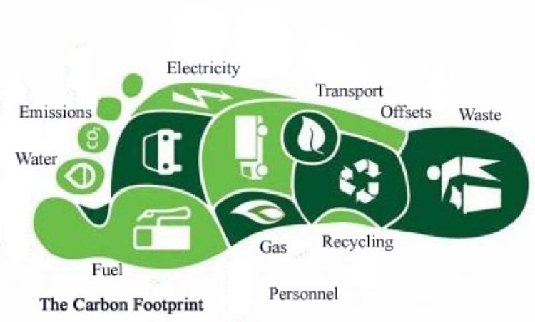 World Leading Companies involved in The Product Carbon Footprint Verification Market Business Outlook, Critical Insight,Opportunities, Regional Overview,Business Strategies and Industry Size Forecast to 2032 | TÜV SÜD, DEKRA, BSI Group, SGS, Bureau Veritas